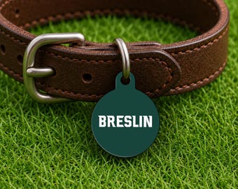 Placa de identificación personalizada para collar de perro – Estilo Día de Juego de East Lansing, Edición Campus Verde, Placa de identificación para mascotas de doble cara (redonda)