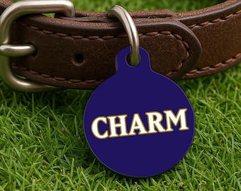 Custom Dog Collar Tag – Baltimore Gameday Style, Purple Gridiron Edition, Double Sided Round Pet Tag