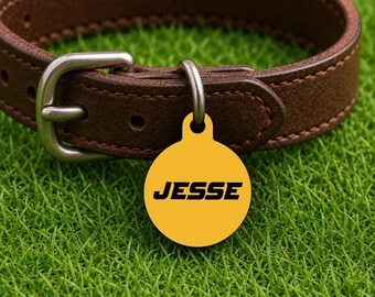 Placa de identificación personalizada para collar de perro – Estilo Columbia Game Day, placa amarilla edición Campus (redonda)