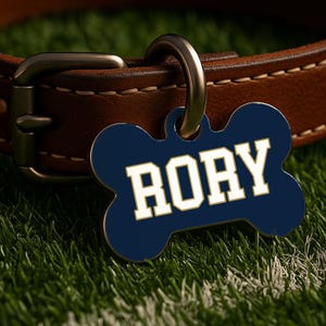 May include: A navy blue, bone-shaped dog tag with the name "RORY" in white block letters. The tag is attached to a brown leather dog collar with a silver-colored metal clasp. The background is green.