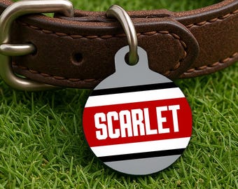 Custom Pet Tag – Columbus Game Day Style, Helmet Stripe Campus Edition, Double Sided