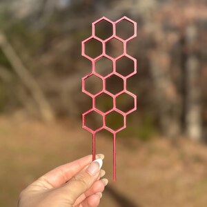 May include: A pink, honeycomb-shaped garden stake with two pointed prongs. The stake is held in a hand against a blurred outdoor background. The honeycomb design is made of connected hexagons.
