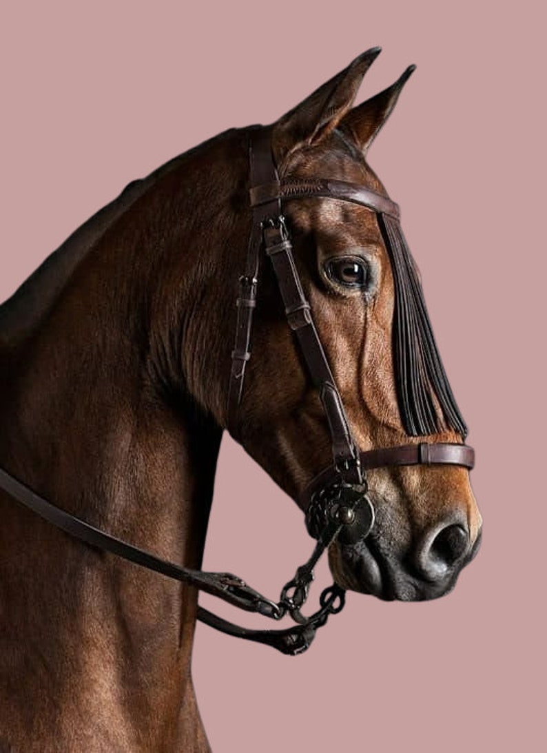 Spanish Vaquero Bridle Best Quality Spanish Bridle Etsy