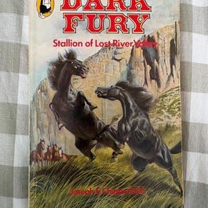 Dark Fury by Joseph E. Chipperfield vintage 1970s Paperback 1977 children's book