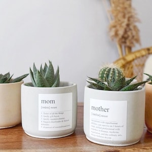Mom Gift, Gift for Mom, Gift from Daughter, Concrete Planter, Plant pot, Mother gift, Customizable Gift for Mom, Personalized Gift for mom