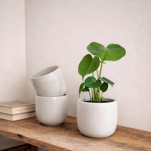 Minimalist Planter, Houseplant Decor, Handmade Concrete Planter, Neutral Planter, 6'' Plant pot, Nordic Planter, Japandi Planter, Indoor Pot image 2