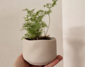 Minimalist Planter, Aesthetic Planter, Wavy Planter, Organic Shaped Planter, Wabi Sabi Decor, Japandi Planter, 4'' Plant Pot, Neutral Decor