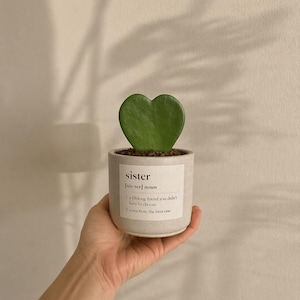 Peut inclure: Un petit pot en céramique gris clair avec une plante verte en forme de cœur. Le pot porte l'inscription "sister" ainsi qu'une définition. La plante est tenue dans la main d'une personne.