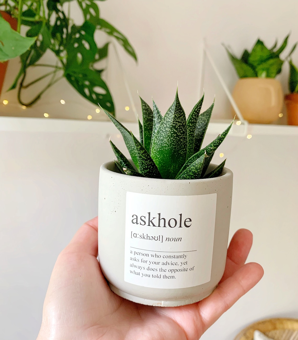 Concrete Planter Definition Plant Pot Custom Friend Gift Etsy