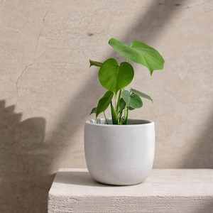 Minimalist Planter, Houseplant Decor, Handmade Concrete Planter, Neutral Planter, 6'' Plant pot, Nordic Planter, Japandi Planter, Indoor Pot image 1