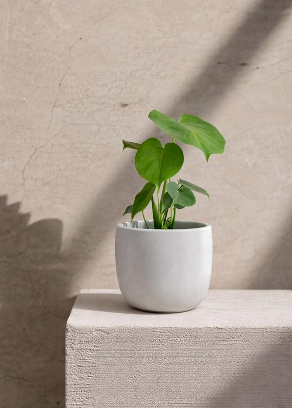 Minimalist Planter, Houseplant Decor, Handmade Concrete Planter, Neutral Planter, 6'' Plant pot, Nordic Planter, Japandi Planter, Indoor Pot