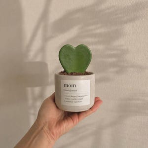 May include: A small, light grey pot with a heart-shaped green plant. The pot has a label with the word "mom" and its definition. The pot is held in a hand against a neutral background.