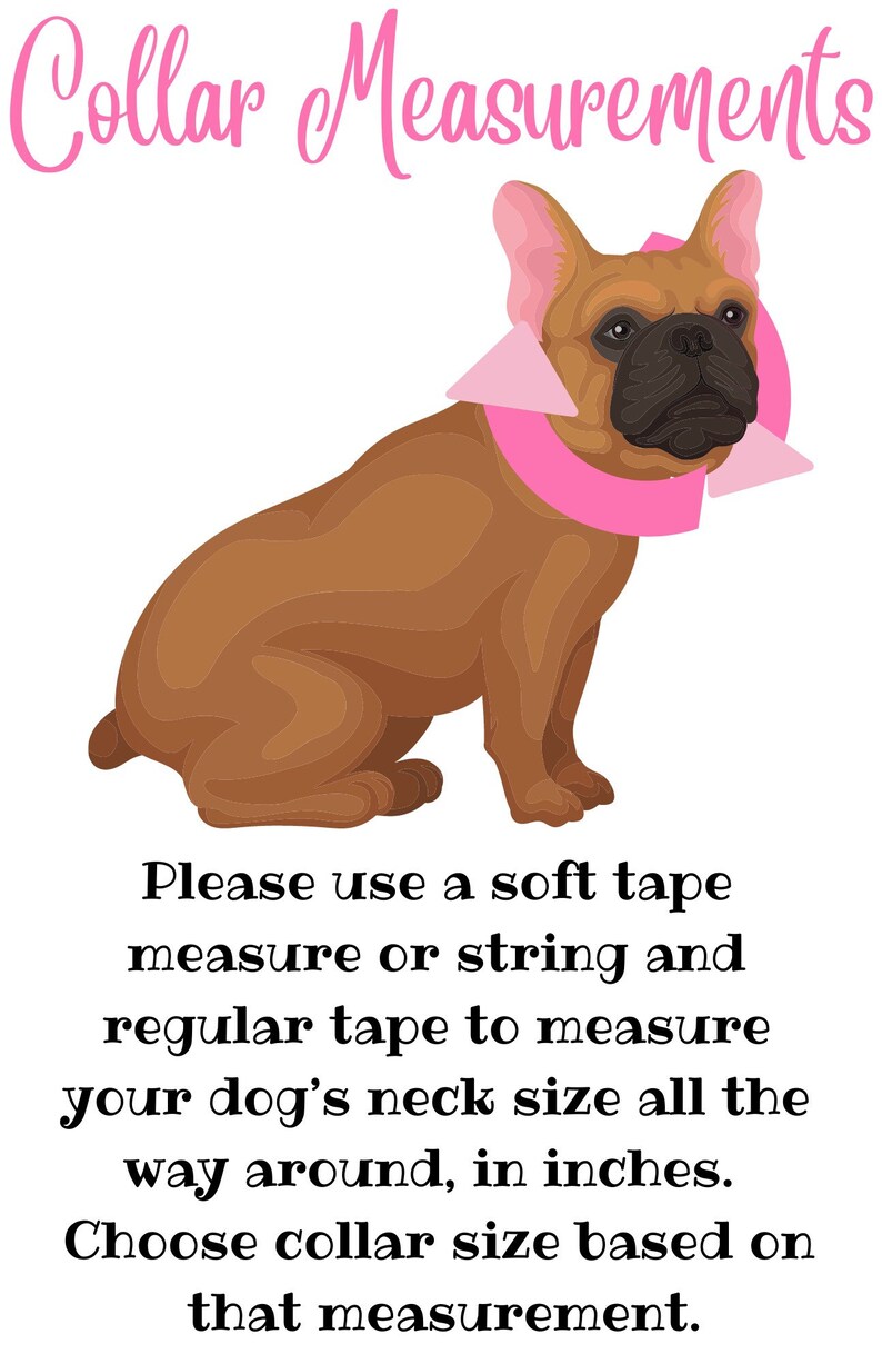 Cotton Candy Ice Cream Cone Beaded Dog Collar Durable Dog Etsy