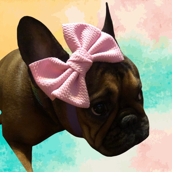 Dog Headband Etsy