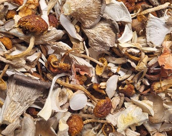 May include: A close-up view of a variety of dried mushrooms. The image showcases a mix of textures and colors, including shades of brown, tan, and orange. The mushrooms vary in size and shape, with some appearing whole and others sliced.