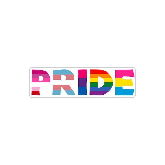 Rainbow Pride Rectangle Sticker Gay Pride Month Retro | Etsy