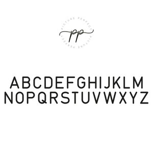 May include: Black and white alphabet font with the words "Picture Perfect" in a circle around the letters "pp" in cursive.