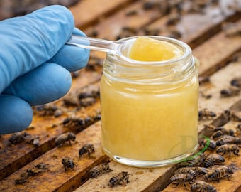 Pappa reale pura / Pappa reale fresca di alta qualità / Prodotto grezzo al miele d'api / Qualità artigianale / Confezionato in vetro / Api reali / Superfood