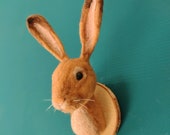 Vegan needle felted bunny head faux taxidermy, cottage core decor, dark academia