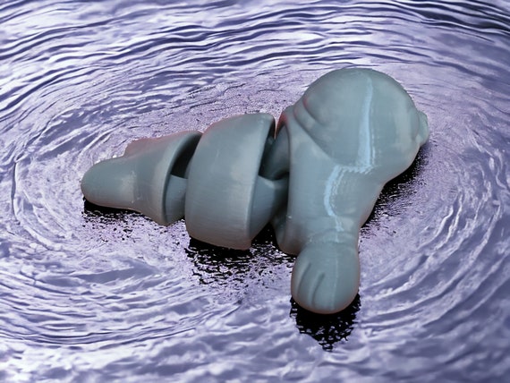 Seal, 3d print, Sea Lions, Pinnipeds, Ocean Animal, child toy, Party Decoration, fidget, birthday gift for a kid, Large Seal, craft