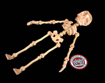 3d print, Skeleton, 3d print cosplay, flexible skeleton, 3d Human, Halloween, glow in the dark skeleton, Halloween party decor, party favor