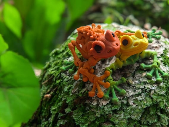 3d print, frog, Skeleton, kid toy,  party favors, fidget toy, birthday gift