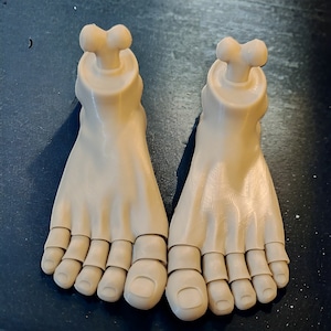 Puede incluir: Dos modelos de pies anatómicos de color beige impresos en 3D con los dedos de los pies separados en segmentos individuales. Los pies están colocados con los dedos de los pies apuntando hacia adelante.