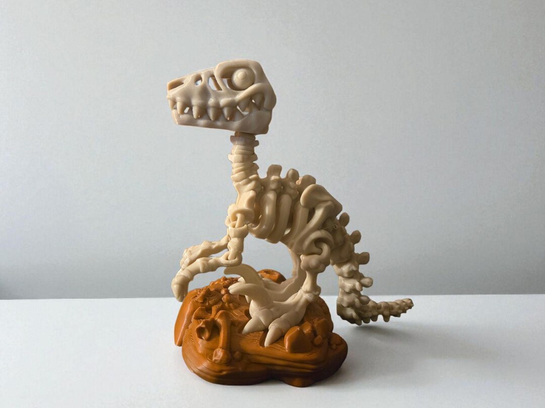 3D Printed Articulated Raptor Skeleton: Dinosaur Toy, Science Gift - Etsy