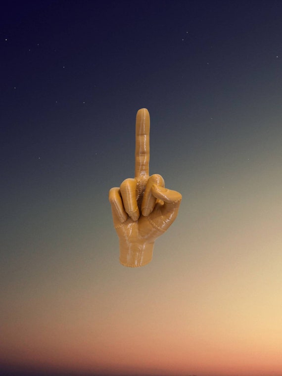 middle finger, realistic hand, 3d print, adult content, NSFW, forget you, gag gift for him, prank for her, bachelor party gift