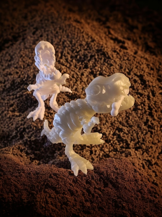 Skeleton T-Rex, dinosaur, 3d print, gift for a boy, Dinosaur party favor, Fidget for a child, birthday gift, dinosaur toy, Dinosaur lover