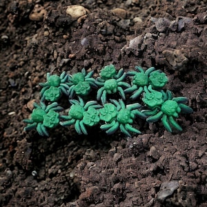 Puede incluir: Un grupo de ocho arañas de plástico verde sobre un fondo de tierra marrón oscuro.
