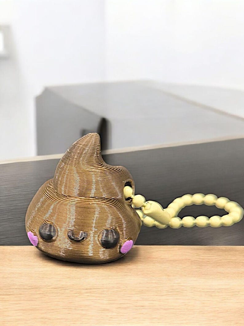 Is That Poop Chain 3D Print Poop & Toilet Paper Keychain Set: Bathroom Party Favor - Etsy