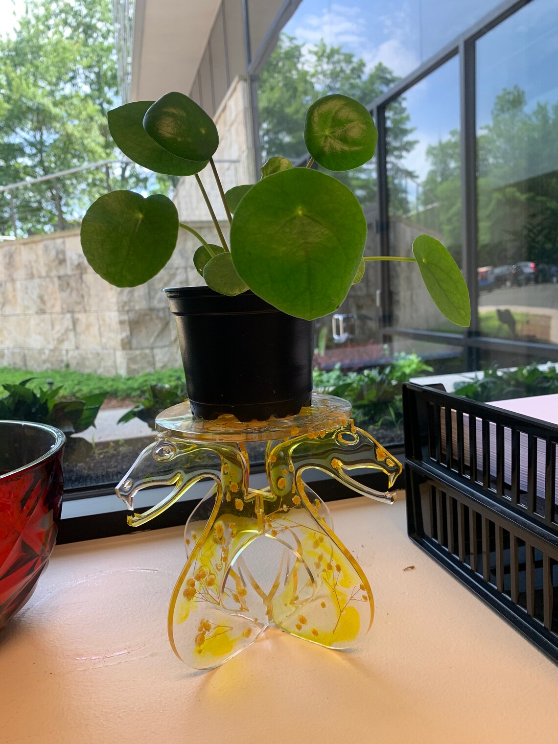 Plant Stand Floral Plant Stand Snake Plant Stand Yellow Etsy