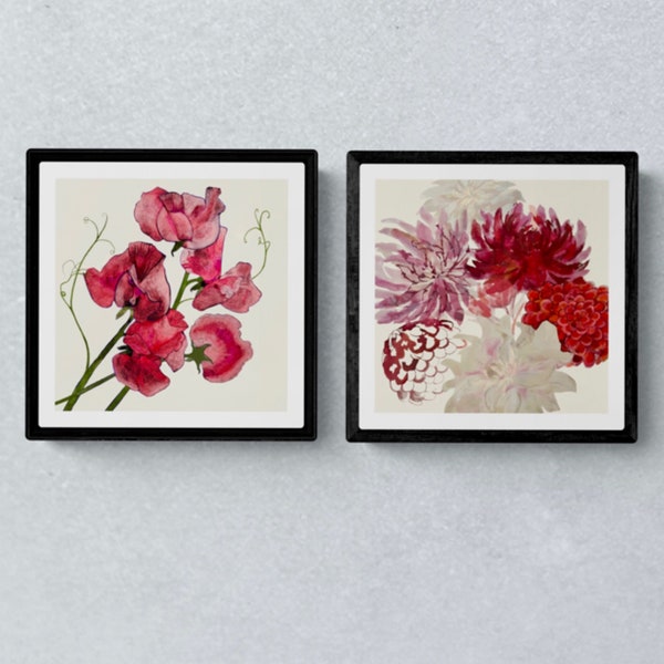 Cottagecore decor, Set of 2, Dahlia Sweet Pea Art Prints , Unframed 5x5” 8x8”  12x12”, Crimson  Pink Floral Wall Art, Cerise Cream Botanical