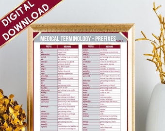Medical Terminology Prefixes | 2 Pages | Instant Download
