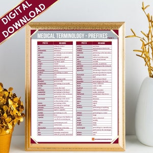 Medical Terminology Prefixes | 2 Pages | Instant Download