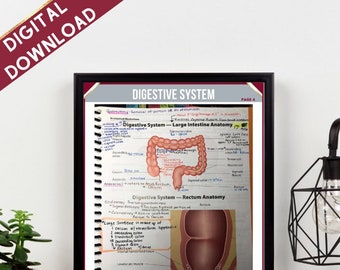 Marking ICD-10 Anatomical Illustrations | 22 Page Reference Guide  | Medical Coding Exam Prep  | Digital Download