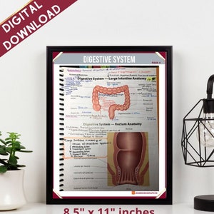 Marking ICD-10 Anatomical Illustrations | 22 Page Reference Guide  | Medical Coding Exam Prep  | Digital Download