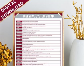 Digestive System Vocab Sheet | Nursing | Medical Coding | Instant Download