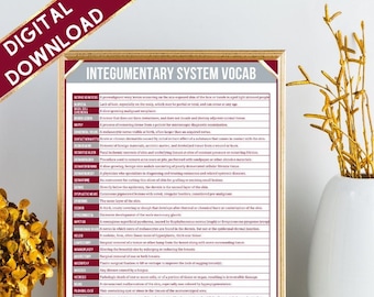 Integumentary System Vocab Sheet | Nursing | Medical Coding | Instant Download