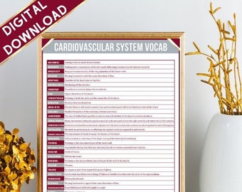 Cardiovascular System Vocab Sheet | Nursing | Medical Coding | Instant Download