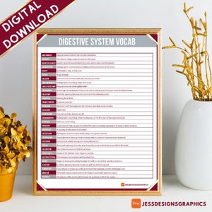 May include: A printable chart with a burgundy frame and white background. The chart lists terms related to the digestive system, such as anastomosis, barium enema, and cholecystectomy. The chart is titled "Digestive System Vocab".