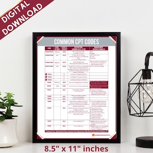 Common CPT Codes | Medical Coding | Digital Download