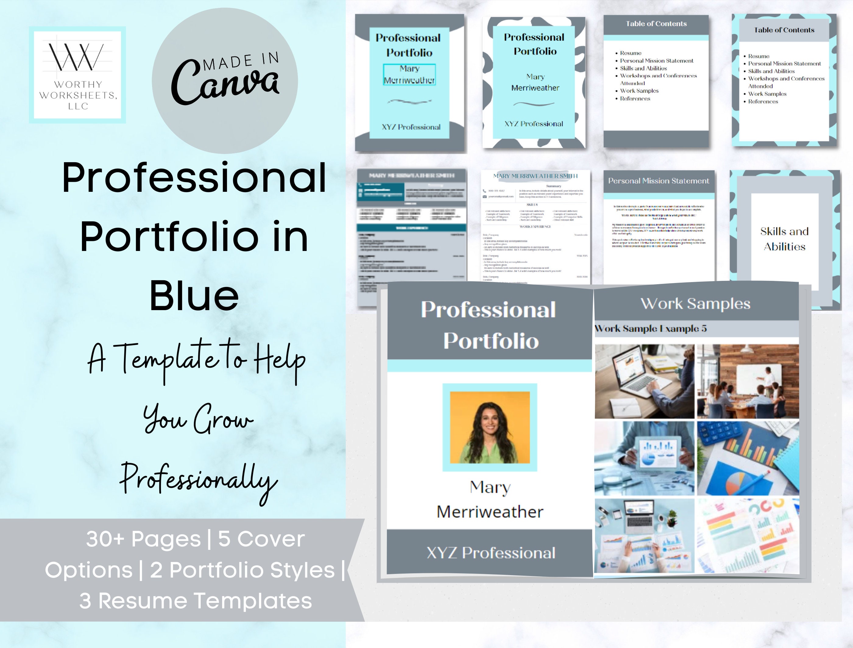 professional-portfolio-template-career-portfolio-job-portfolio-canva