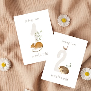 PHYSISCHES DECK | Meilensteinkarten Baby Monate Wachstumskarten | Niedliche Waldtiere Meilenstein Karten