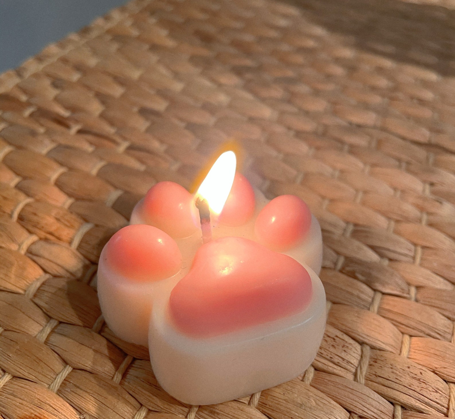 Cat Paw Candle/Handmade Candle/Gift Etsy