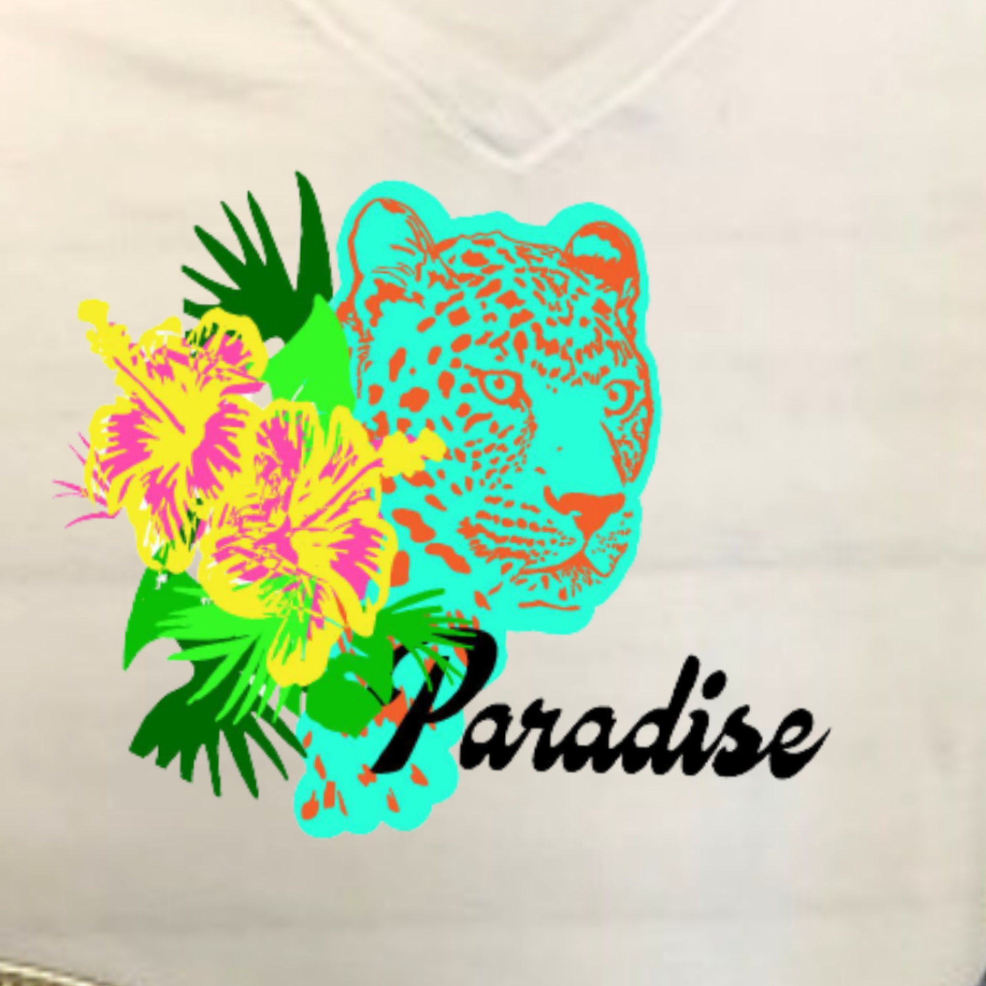 how do you free the leopard in paradise island 2 how do you free the leopard in paradise island 2