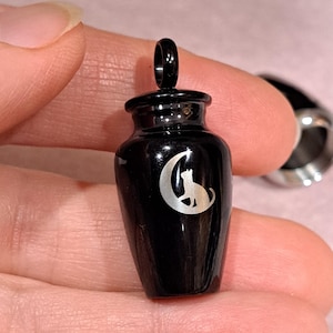 Collier urne commémorative gravée pour animal de compagnie chat et lune : bijoux de crémation en acier inoxydable