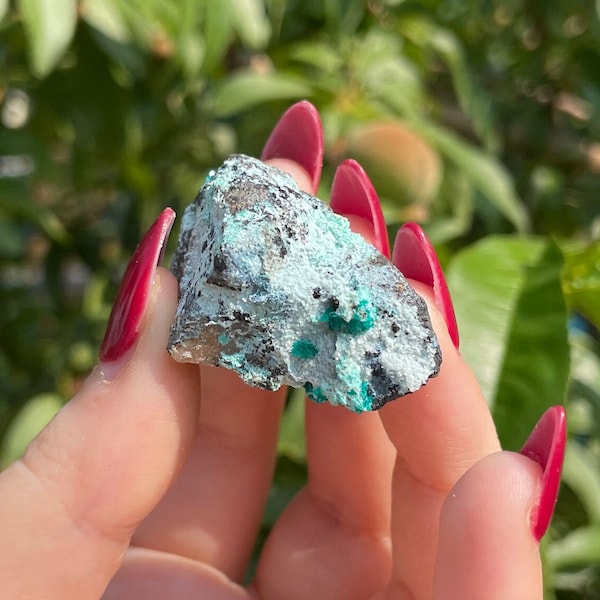 Raw Dioptase Cluster Mineral Crystal Specimen 30