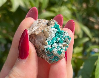 Raw Dioptase Cluster Mineral Crystal Specimen 20
